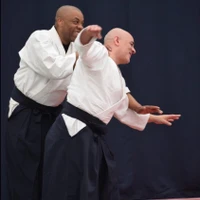 Aikido Stains