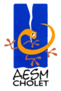 Club AESM Cholet - Mur escalade Grégoire