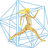 Meant to Move - Movement Coaching and Personal Training