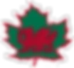 Strathcona Druids R F C