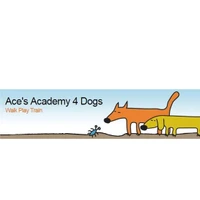 Ace's Academy 4 Dogs