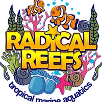 Radical Aquatics Saltwater and Tropical Fish