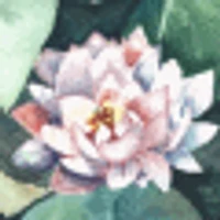 Pills of Moksha
