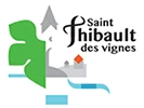 Judo Club Saint-Thibault Des Vignes