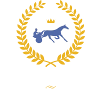 Horse Winner