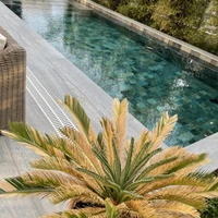 LJS Piscines - Les Piscines du Pays d'Arles