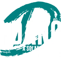 The Dang Collective