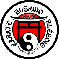 Karate Bushido Ken Blésois