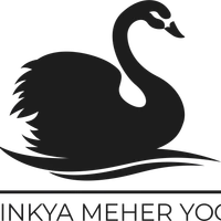 The Yoga Tribe Studio, Mumbai