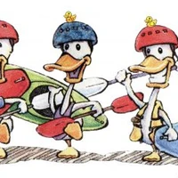 DUCKS canoe club