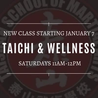Taishan School of Martial Arts 