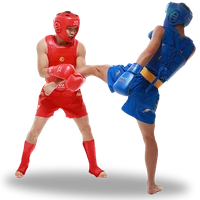 boxe Sanda