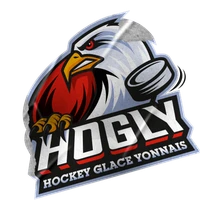 Hockey Glace Yonnais