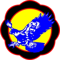 Falcons Martial Arts