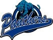 North York Women's Ball Hockey League