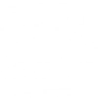 Association Qubcoise de Reining