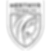 Merthyr Town Football Club