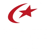 Saracens