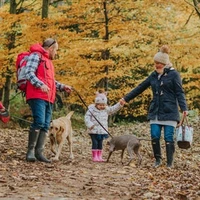 Lanhydrock Cycle Trails
