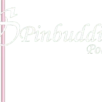 Spinbuddies Pole Dance Studio