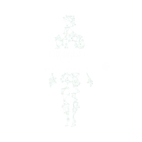 Primal Performance