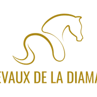 Les chevaux de la diamanterie