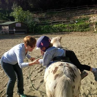 Mon Ami Poney Sauveterre De Rouergue