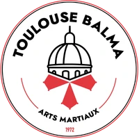 Balma Saint Exupéry 31 - Section Tai Chi -