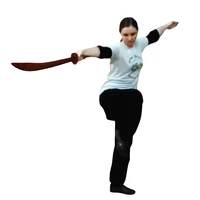Jade Dragon School of Kung Fu and Tai Chi