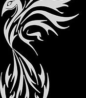 White Phoenix Canine Hydrotherapy Worcestershire