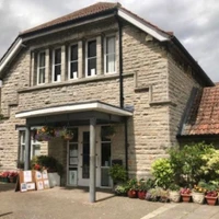 Yoga Somerset - online and one-to-one