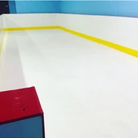 Laurie's Learn To Skate