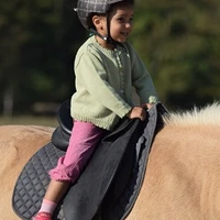 Le Poney Bleu