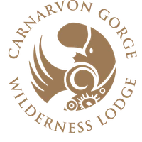 Carnarvon Gorge Wilderness Lodge