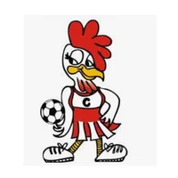 Bordertown Netball Club