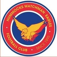 Hummocks Netball Club