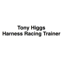 Tony Higgs - Harness Racing Trainer