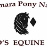 Diamonds Equine Renvyle - The Connemara Pony National Stud