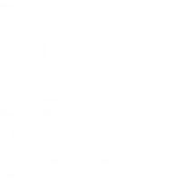 SwimMaster