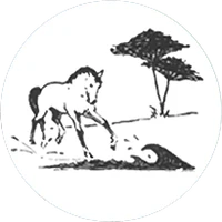 CENTRE EQUESTRE LE MARINA