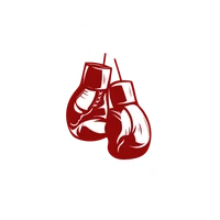 Citadel Boxing