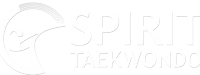 Spirit Taekwondo Academy