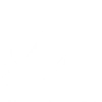Studio 954