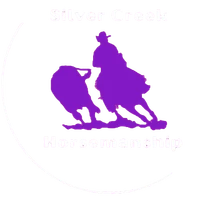 Silver Creek Horsemanship
