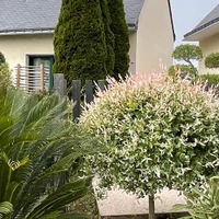 Gîtes du Liorzh Glas