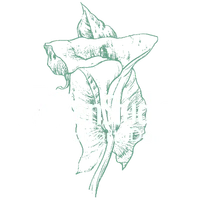 The Garden Studios