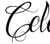 Dance Celebration Ltd.
