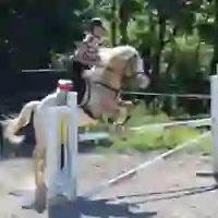 Manes Du Volvestre