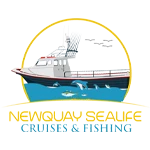 Newquay Sealife Boat & Fishing Trips