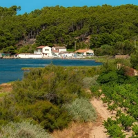 Camping Tohapi Ensoya